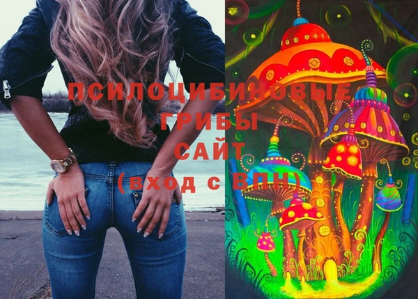 гидропоника Михайловск