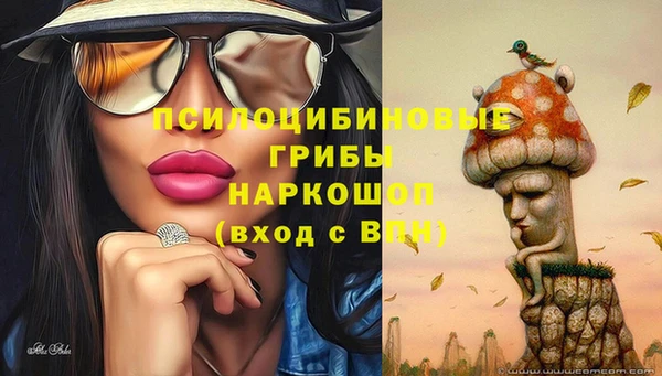 гашик Мегион