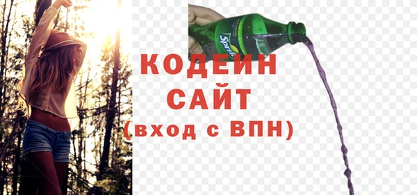 гашик Мегион